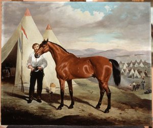 Sir Briggs, paard van Lord Tredegar (1831-1913) van de 17e Lancers, in kamp in de Krim 1854, 1856